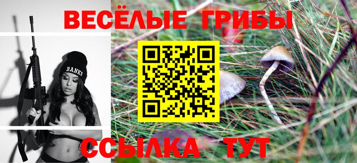Галлюциногенные грибы Cubensis Кольчугино