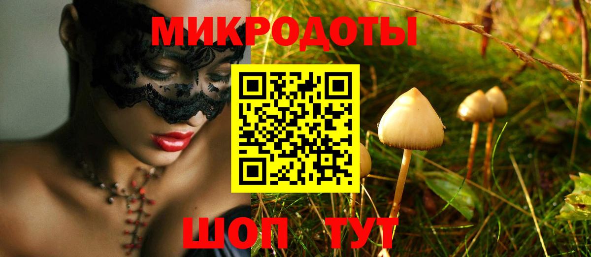 Кольчугино  где найти наркотики  Вход с VPN  Псилоцибиновые грибы Psilocybe 